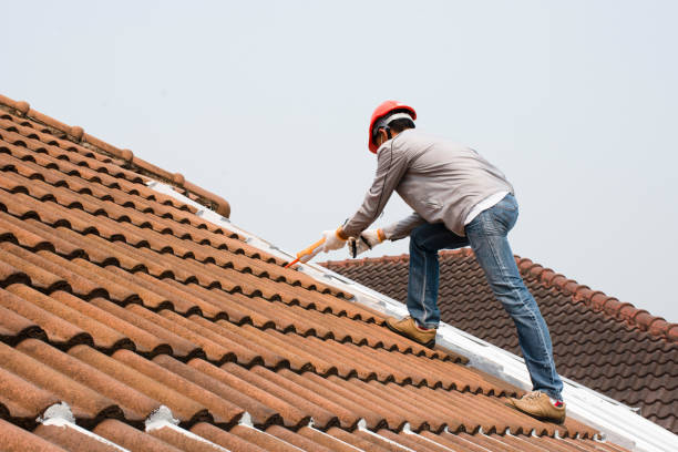Best Roof Insulation Installation  in Georgetown, IL