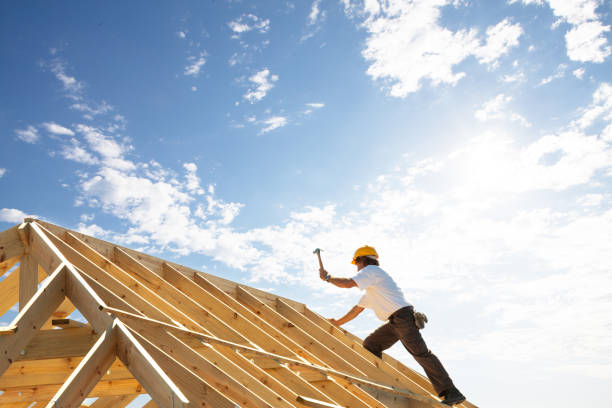 Best Roof Moss and Algae Removal  in Georgetown, IL